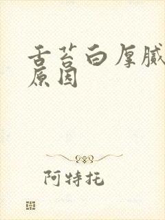 舌苔白厚腻是啥原因