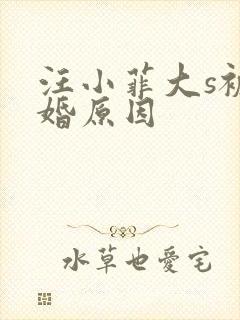 汪小菲大s被离婚原因