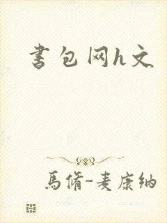 书包网h文