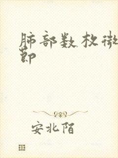 肺部数枚微小结节