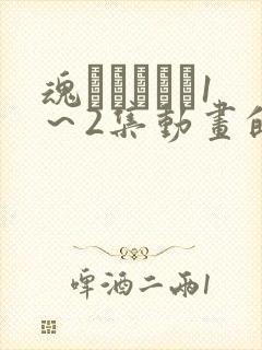 魂インサート1～2集动画的免费观看方封面