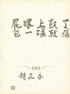 屁眼上鼓了一个包一碰就痛