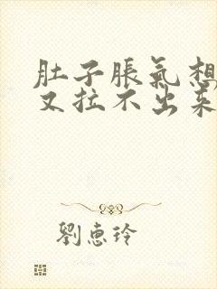 肚子胀气想拉屎又拉不出来