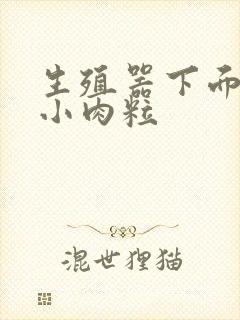 生殖器下面长得小肉粒