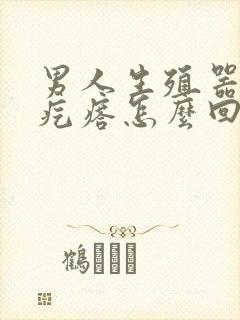 男人生殖器上长疙瘩怎么回事