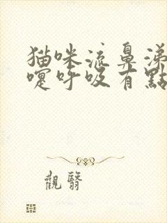 猫咪流鼻涕打喷嚏呼吸有点呼呼的