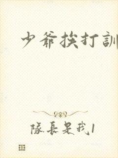 少爷挨打训诫文