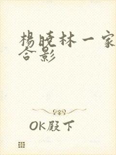 杨晓林一家三口合影封面