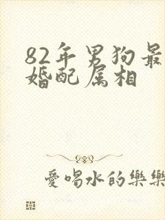 82年男狗最佳婚配属相