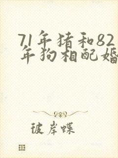 71年猪和82年狗相配婚姻如何