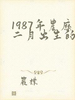 1987年农历二月出生的兔人命运如何