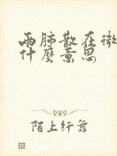 两肺散在微结节什么意思