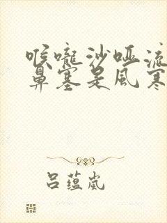 喉咙沙哑流鼻涕鼻塞是风寒还是风热