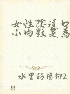 女性阴道口处起小肉粒是为什么