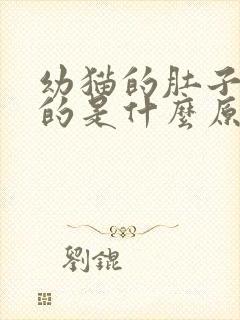 幼猫的肚子鼓鼓的是什么原因