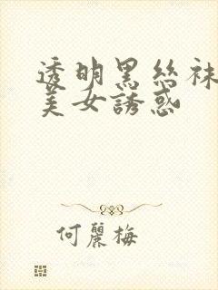 透明黑丝袜床上美女诱惑