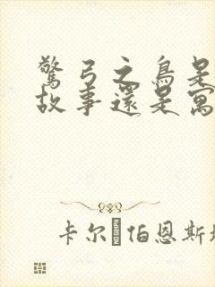 惊弓之鸟是成语故事还是寓言故事封面