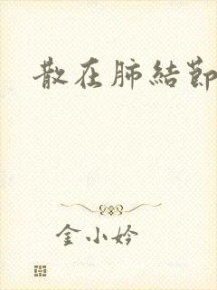 散在肺结节斑片