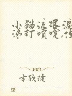 小猫流眼泪流鼻涕打喷嚏,但是食欲很好