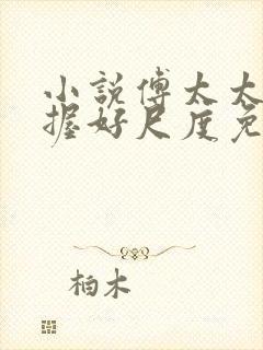 小说傅太太请把握好尺度免费看封面