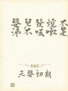 婴儿发烧不流鼻涕不咳嗽是什么原因封面