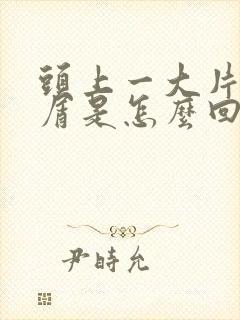 头上一大片头皮屑是怎么回事封面