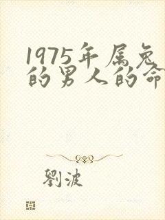 1975年属兔的男人的命运怎么样