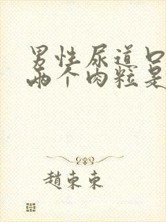 男性尿道口长了两个肉粒是怎么回事