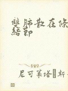 双肺散在条索微结节封面