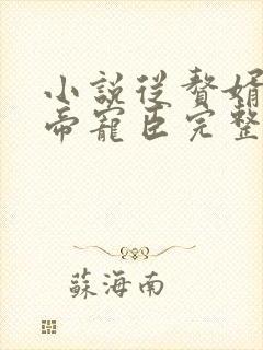 小说从赘婿到女帝宠臣完整版未删减小说