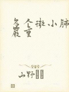 多个微小肺结节严重