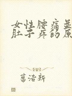 女性腰痛并伴有肚子疼的原因有哪些封面