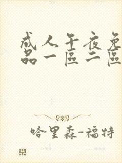 成人午夜免费精品一区二区封面