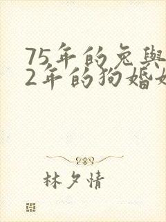 75年的兔与82年的狗婚姻怎么样