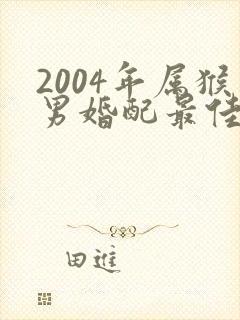2004年属猴男婚配最佳属相