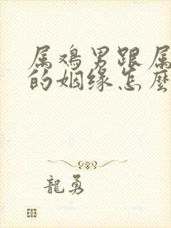 属鸡男跟属龙女的姻缘怎么样