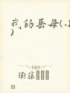 我的岳母(小说)