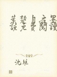 叶楚月夜墨寒小说免费阅读封面