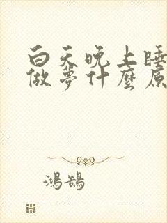 白天晚上睡着就做梦什么原因