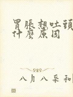 胃胀想吐头晕是什么原因封面