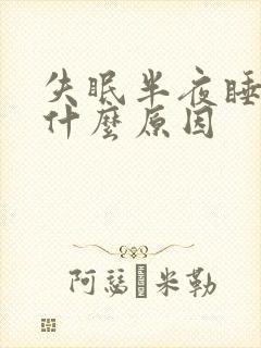 失眠半夜睡不着什么原因