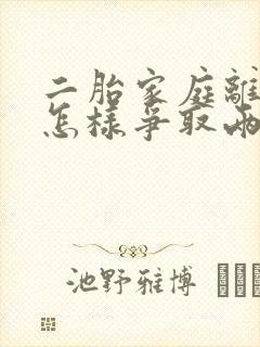 二胎家庭离婚时怎样争取两个孩子的抚养权