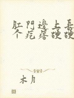 肛门边上长了一个疙瘩硬硬的不痛