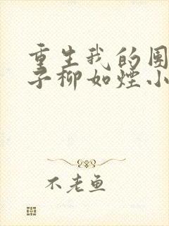重生我的团长妻子柳如烟小说