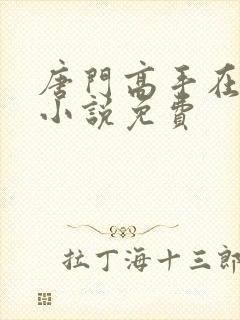 唐门高手在异世小说免费