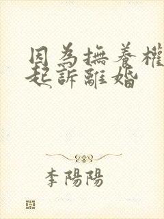 因为抚养权问题起诉离婚