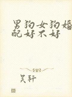男狗女狗婚姻相配好不好封面