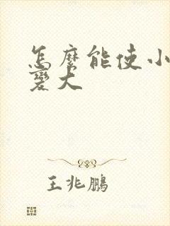 怎么能使小弟弟变大封面