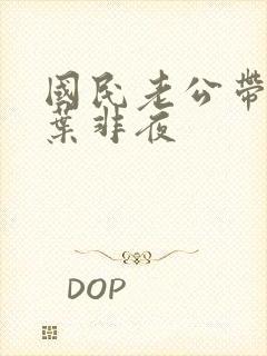 国民老公带回家叶非夜