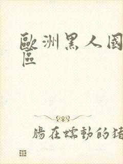 欧洲黑人国产一区封面